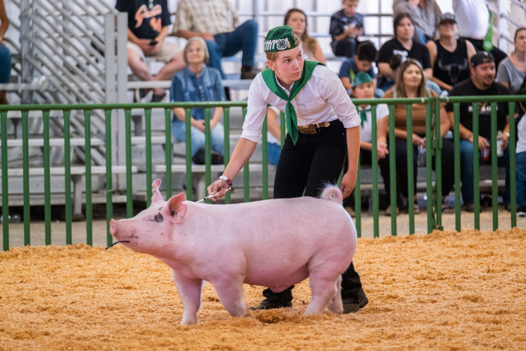 4-H at the Fair